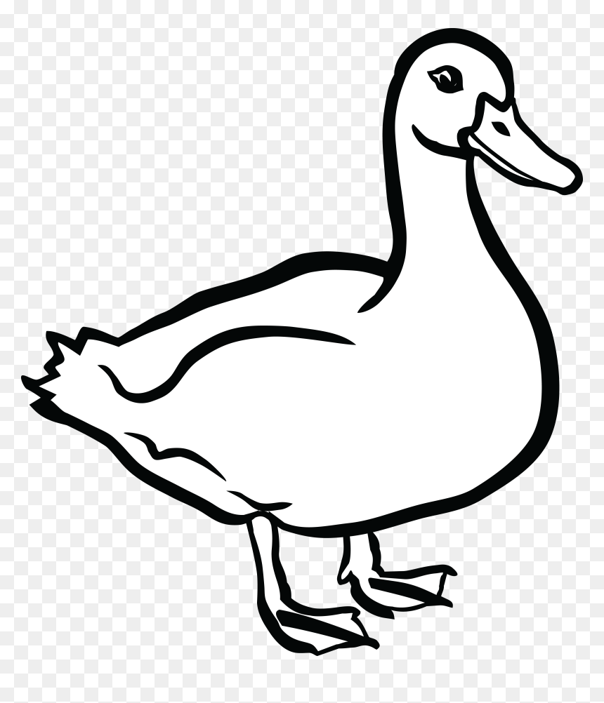 Duck Black And White - Duck Black And White Clip Art, HD Png Download - ducks png