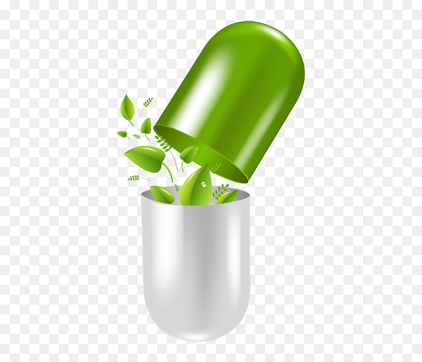 For Treating Alzheimer S - Herbal Medicine Logo Png, Transparent Png - herbs png