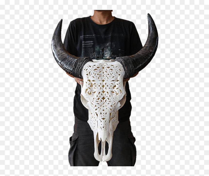 Calved Cow Horn Skull, HD Png Download - cow skull png