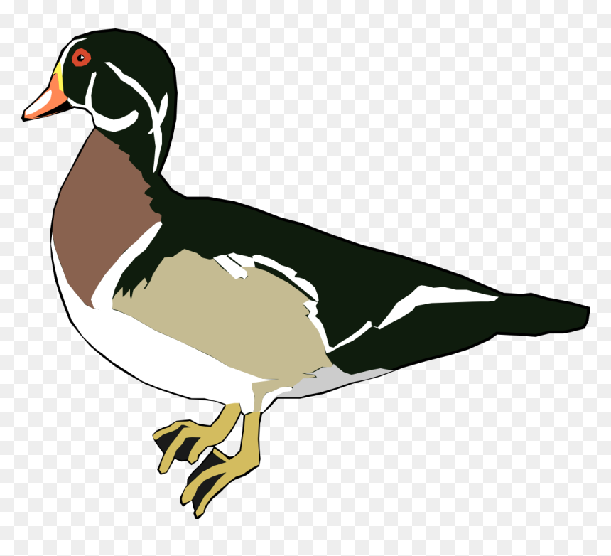 Thumb Image - Duck Clipart Panda, HD Png Download - ducks png