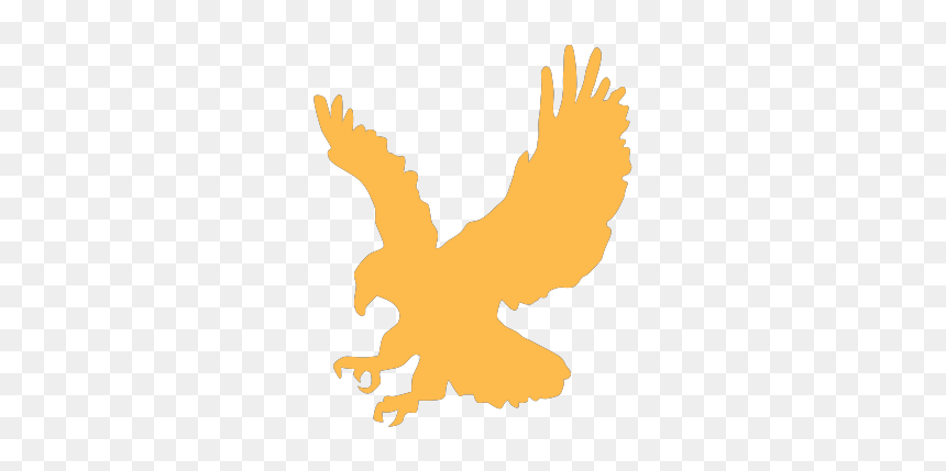 Eagle Clip Art, HD Png Download - eagle vector png