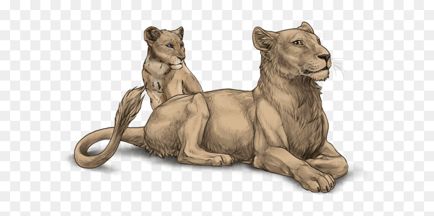 Lioden Folded Ears, HD Png Download - lioness png