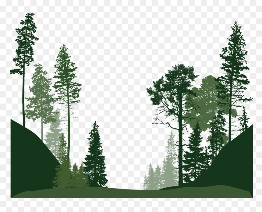 Forest Png Image File - India State Of Forest Report 2019, Transparent Png - fir tree png