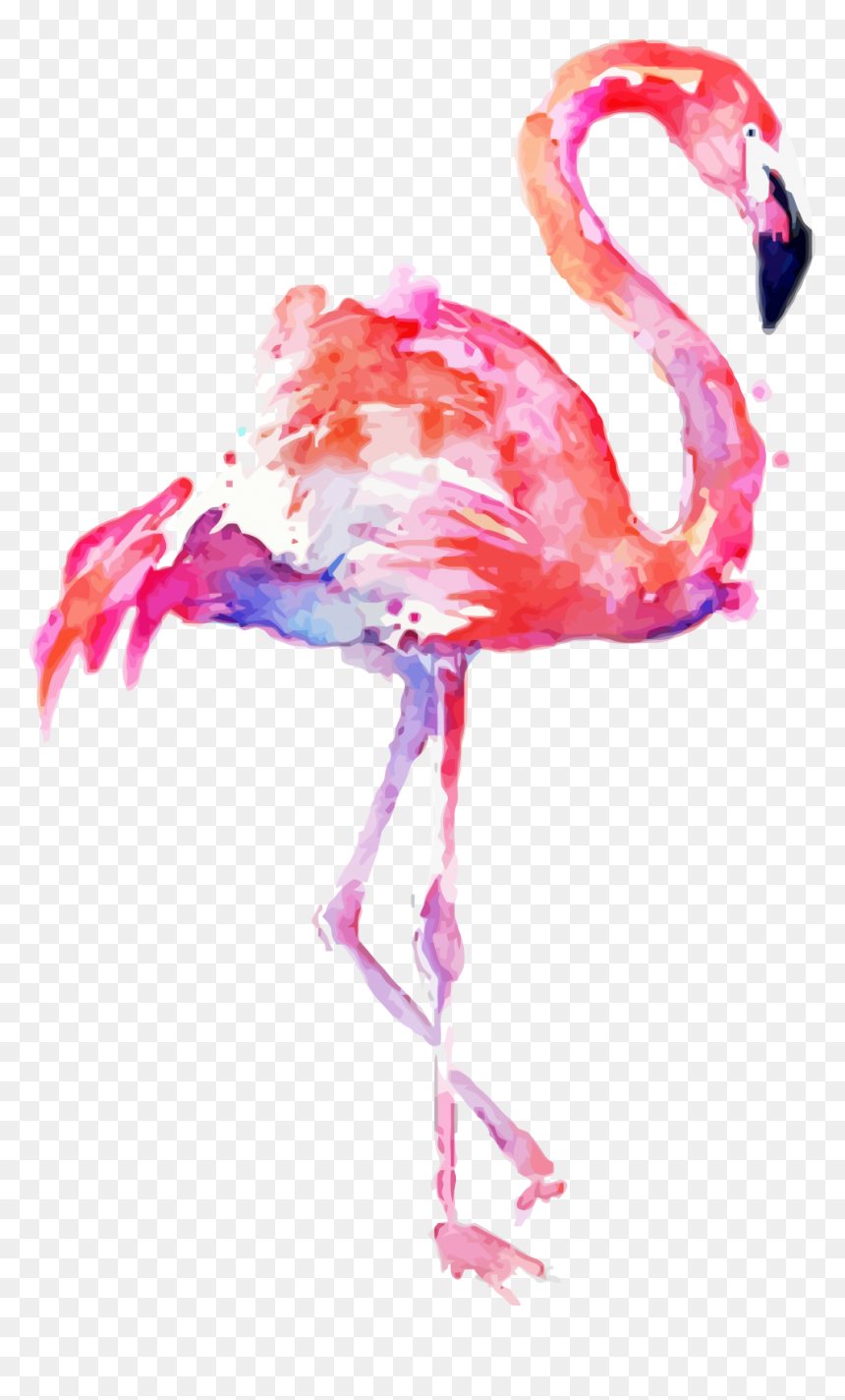 Clip Art Transparent Background Flamingo Png, Png Download - water background png