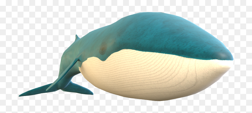 Download Zip Archive - Blue Whale, HD Png Download - blue whale png