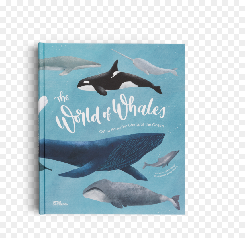 World Of Whales Get To Know The Giants Of, HD Png Download - blue whale png