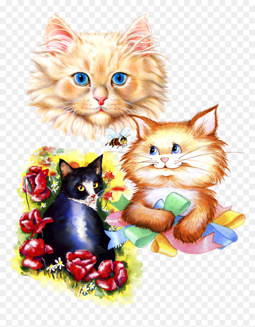 Kitten, HD Png Download - cat .png