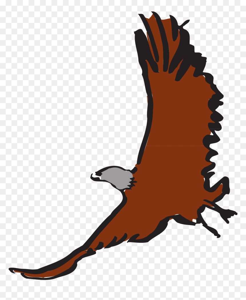 Eagle, HD Png Download - eagle vector png