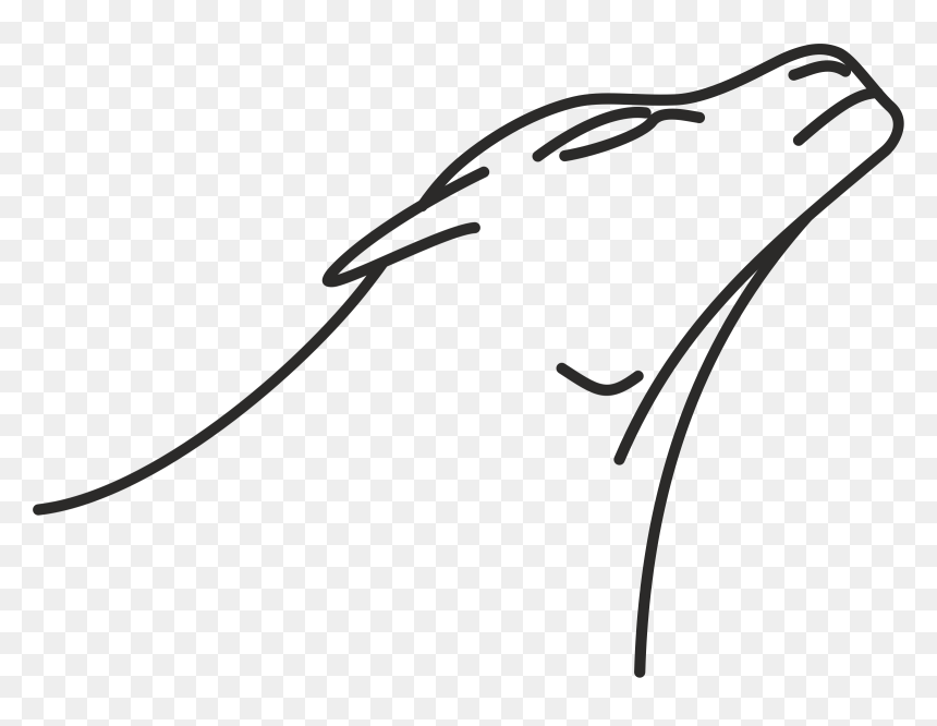 Lioness Line Drawing Clip Arts - Free Lioness Png, Transparent Png - lioness png
