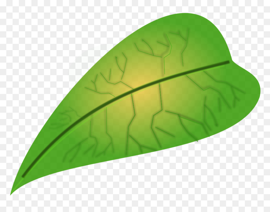Green Leaf Svg File - Small Leaf Clipart, HD Png Download - leaf icon png