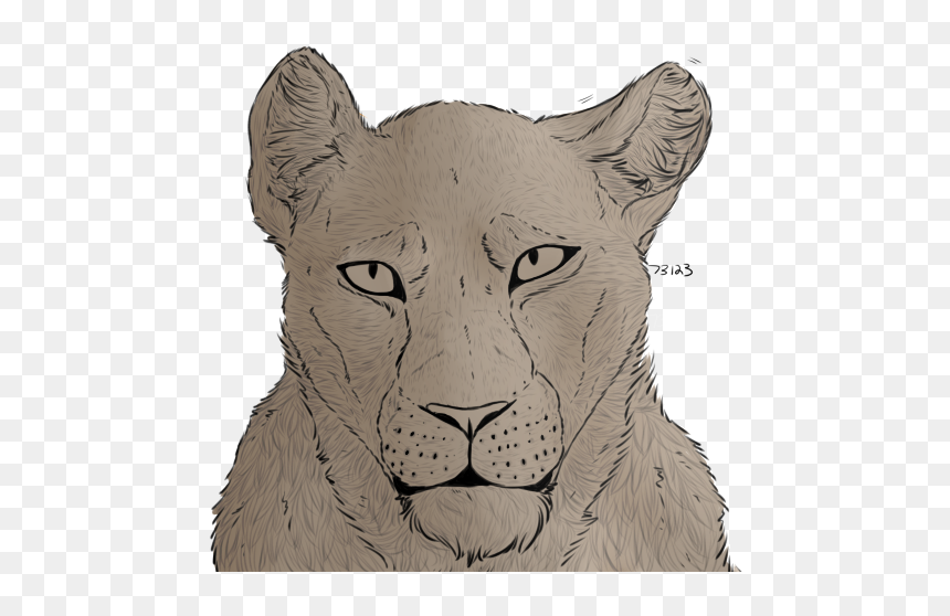 Thumb Image - Siberian Tiger, HD Png Download - lioness png
