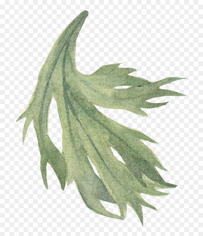 Herbaceous Plant, HD Png Download - leaf icon png
