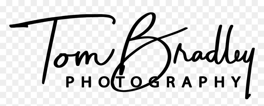 Calligraphy, HD Png Download - finish line png