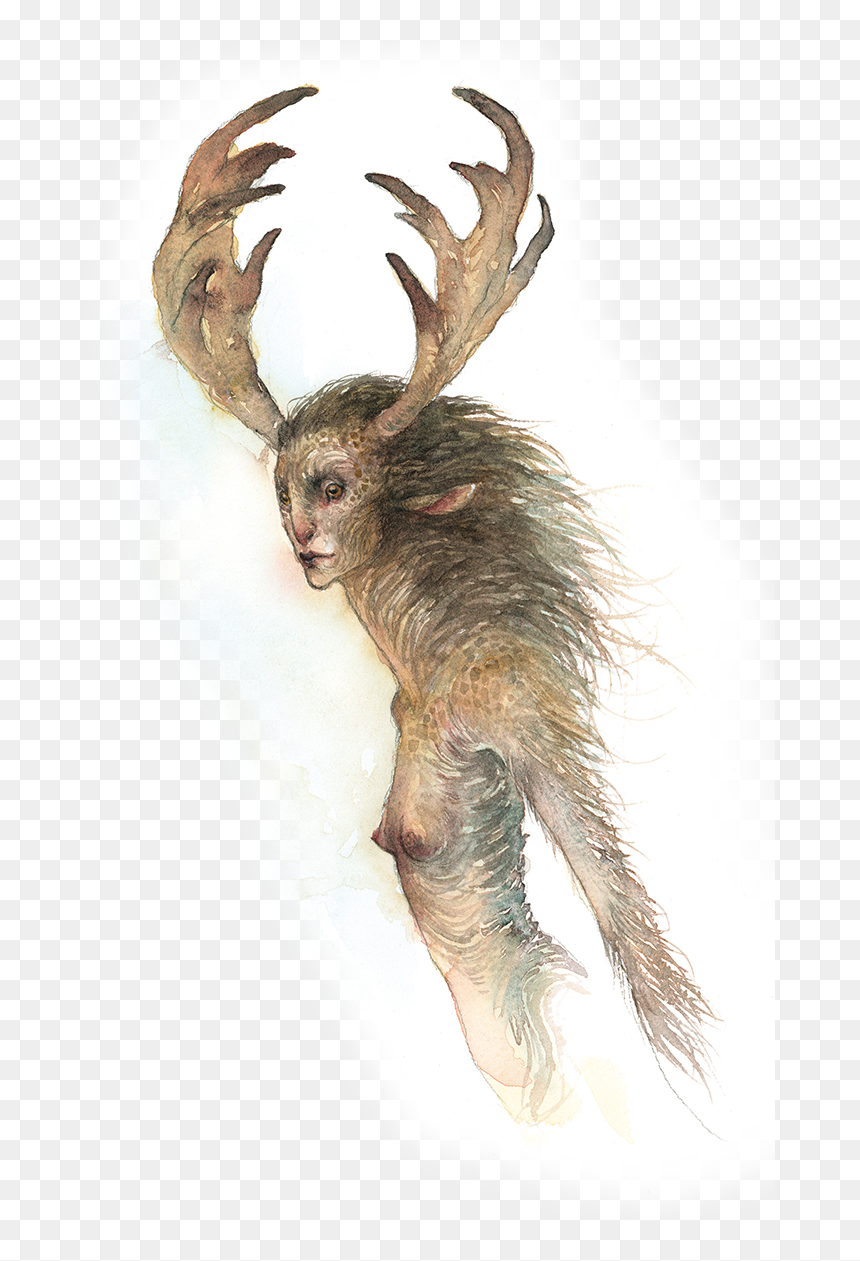 Iristransparent - Reindeer, HD Png Download - iris png