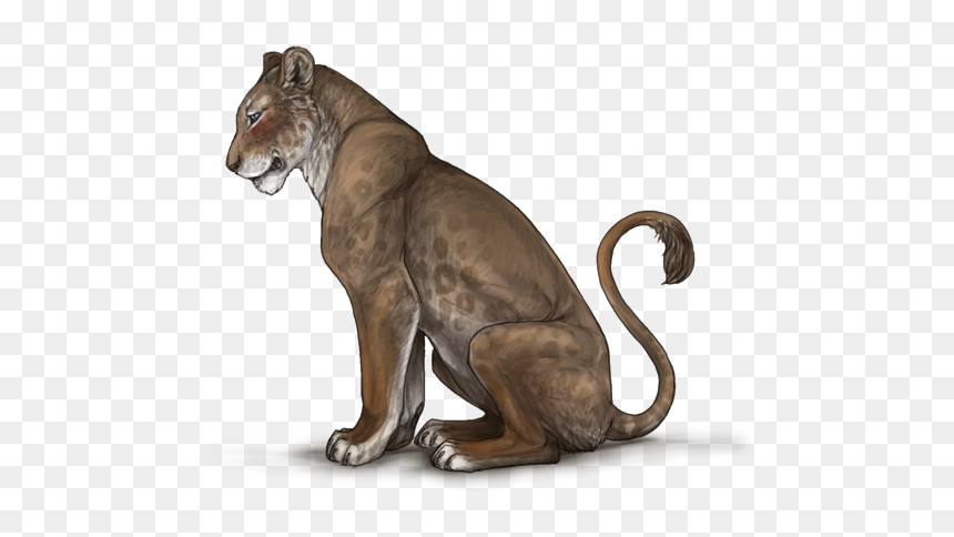 640x500, Lioness, Png V - Cougar, Transparent Png - lioness png
