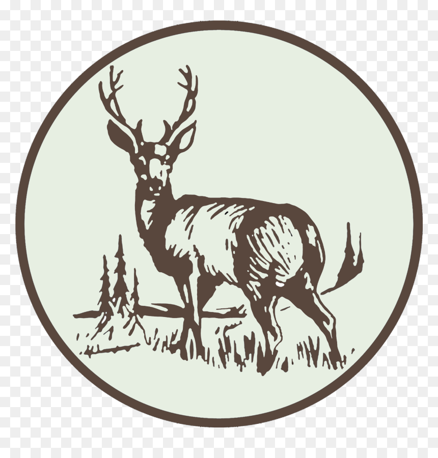 Photography Film, HD Png Download - buck png