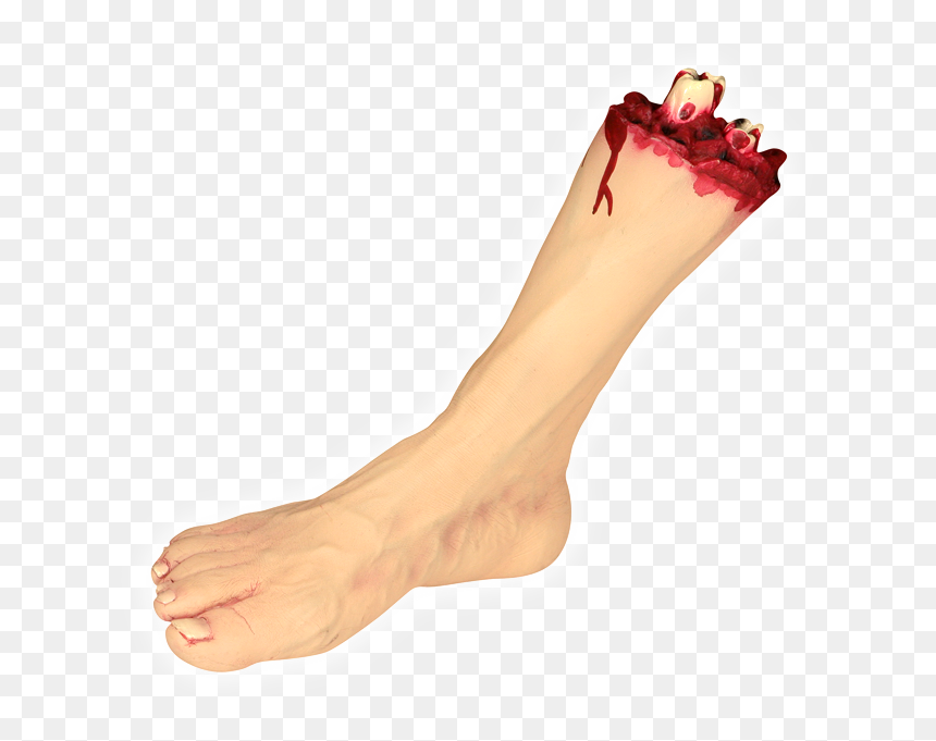Related Image Of Corner Spider Web Template Google - Severed Foot Png, Transparent Png - corner spider web png