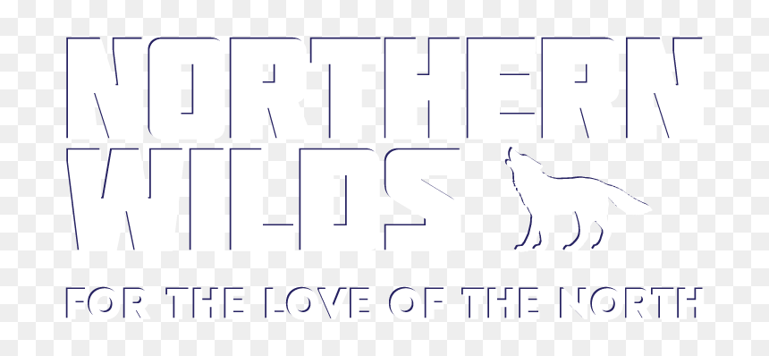 Horse, HD Png Download - shadow.png