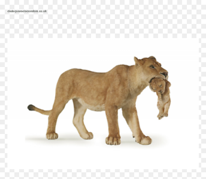 Transparent Animal Kingdom Png - Lioness Png, Png Download - lioness png