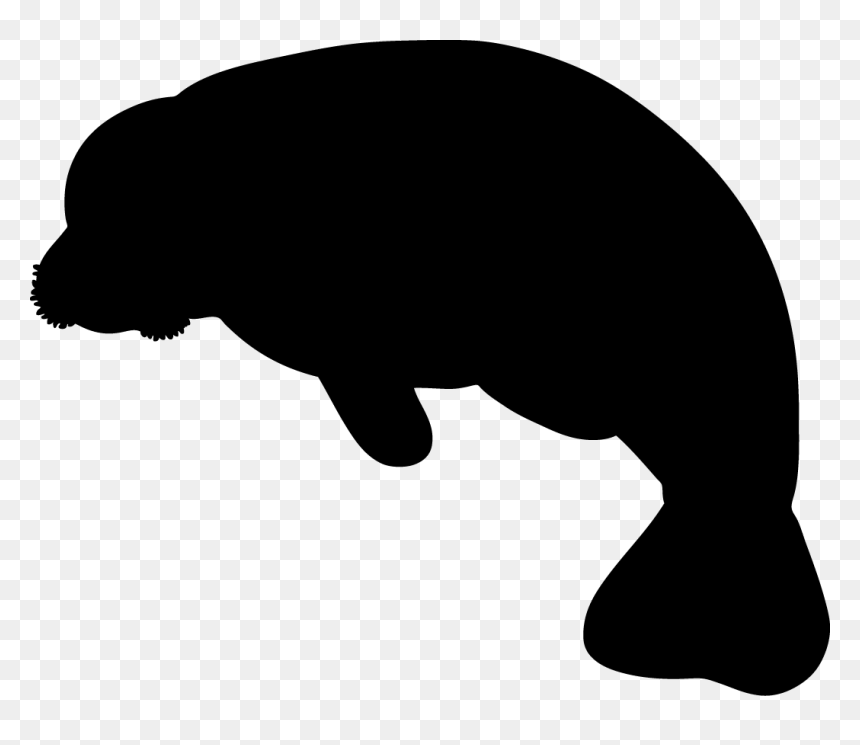 Silhouette Manatee Clipart, HD Png Download - manatee png