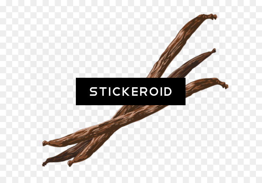 Vanilla Bean Flower - Vanilla, HD Png Download - vanilla png