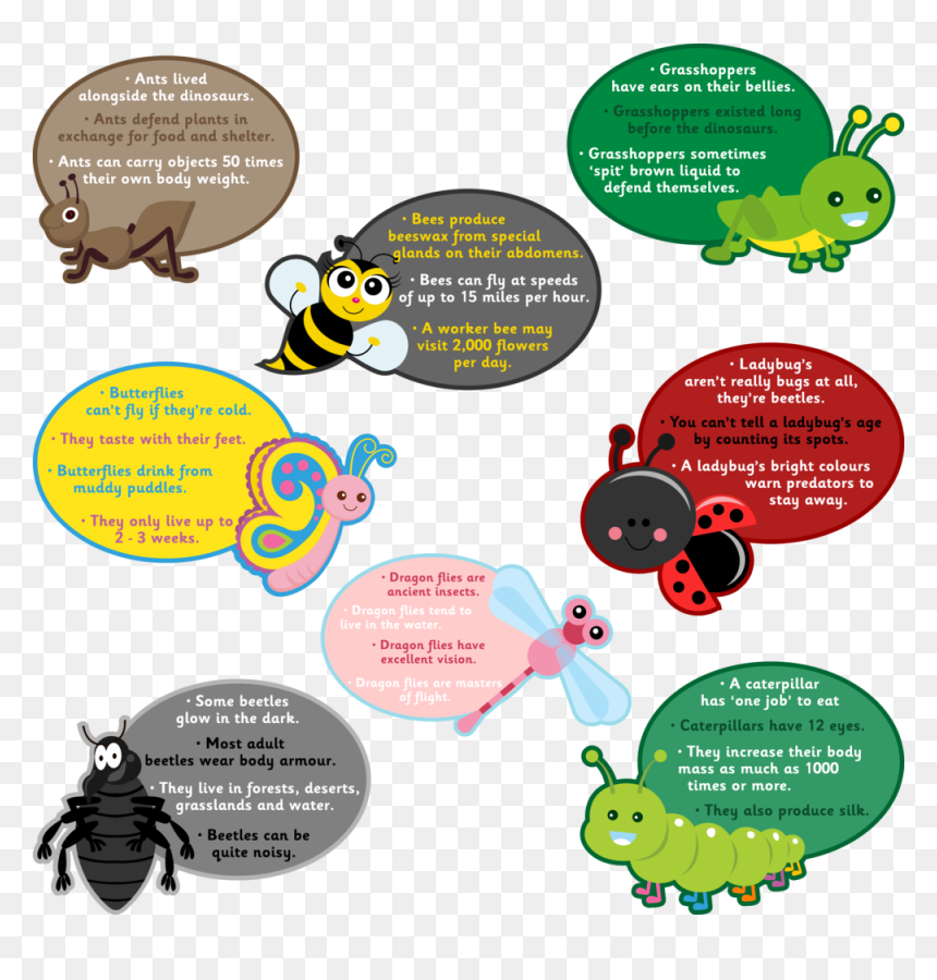 Bugs, HD Png Download - bugs png