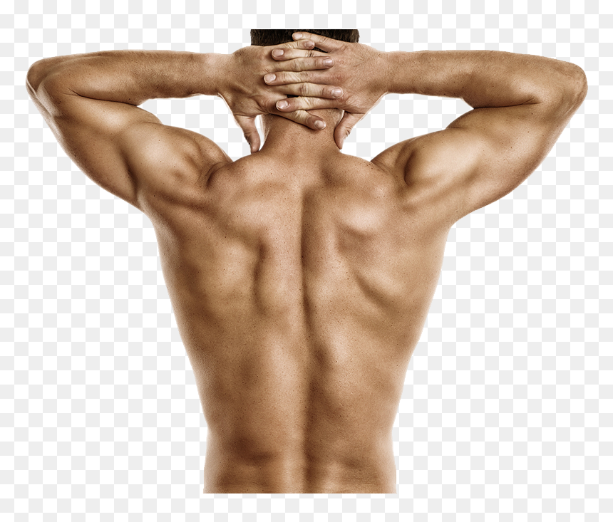 Fitness Hombre Espalda Png, Transparent Png - muscle man png