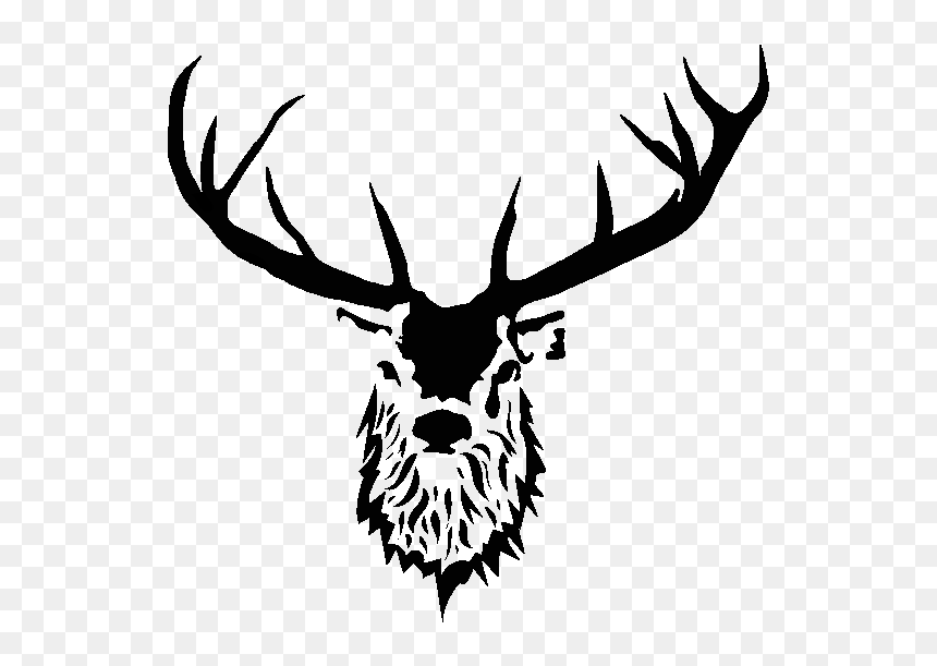 Reindeer, HD Png Download - buck png