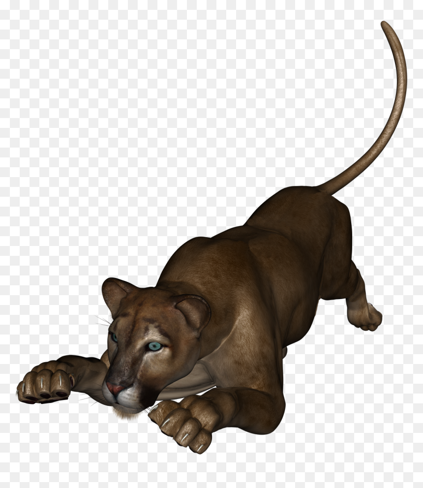 This Is The Lioness From Daz Studio - Companion Dog, HD Png Download - lioness png
