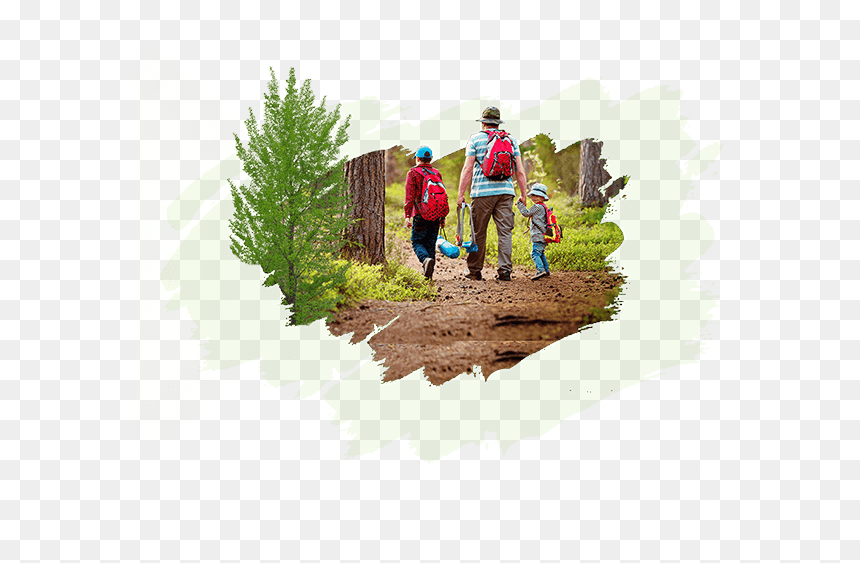 Illustration, HD Png Download - gardener png