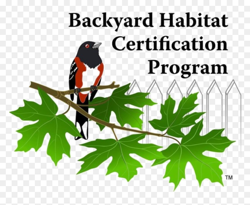 Hab Cert - Backyard Habitat Portland, HD Png Download - gardener png