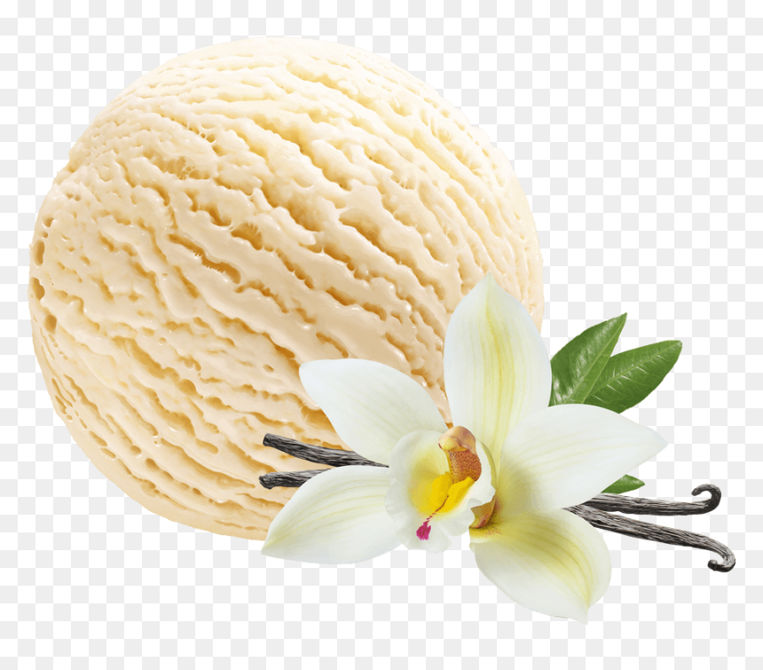 Vanilla Ice Cream - Vanilla Ice Cream Png, Transparent Png - vanilla png