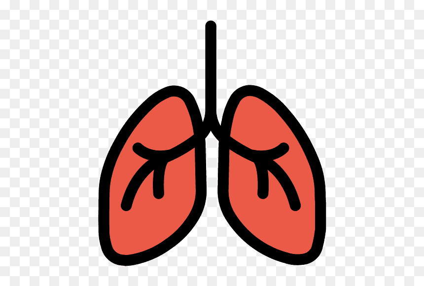 Lungs Emoji Clipart, HD Png Download - lungs png