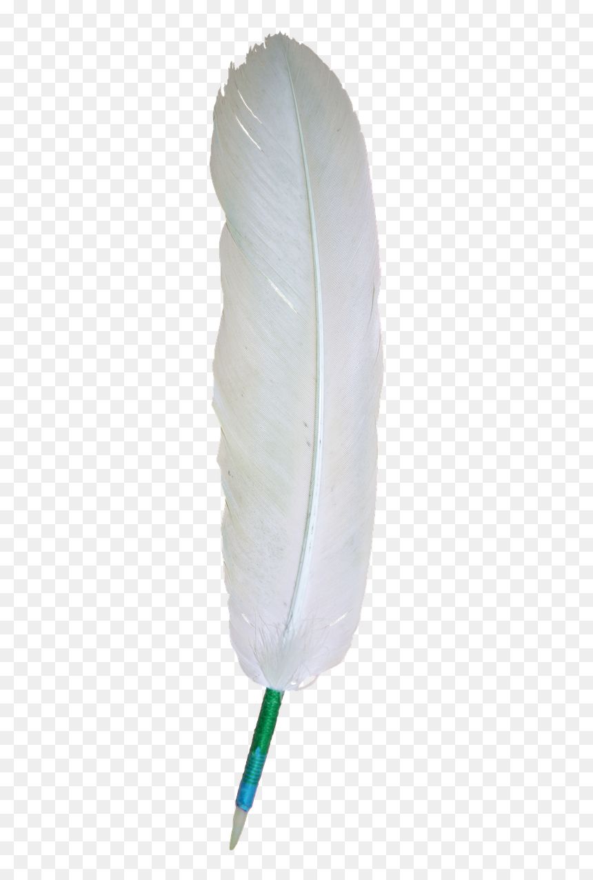 Eagle White Feather Png, Transparent Png - eagle feather png
