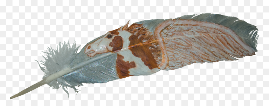 Eagle Feather Png, Transparent Png - eagle feather png