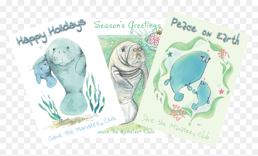 Illustration, HD Png Download - manatee png