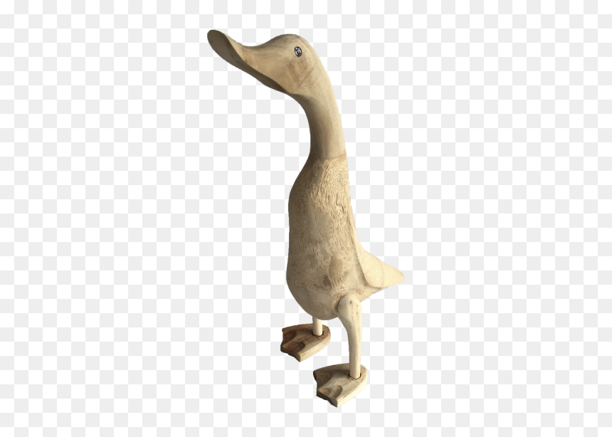 Img 1663-2 - Animal Figure, HD Png Download - ducks png