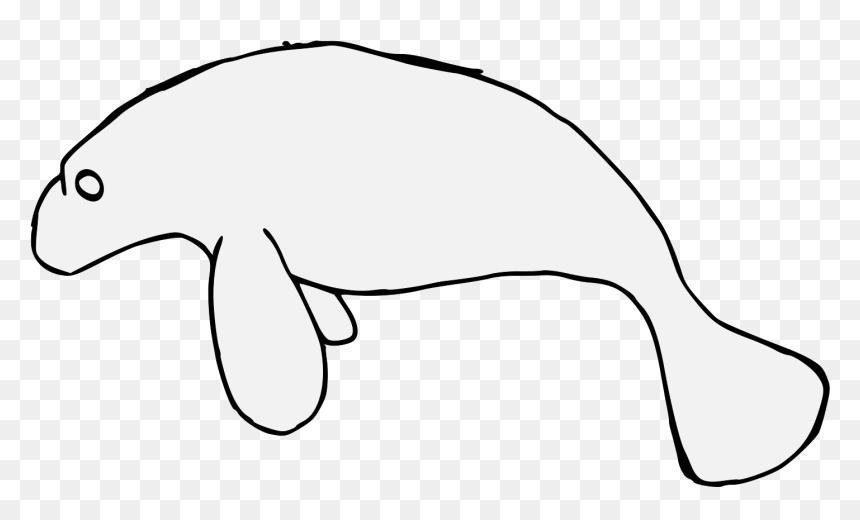 Illustration, HD Png Download - manatee png