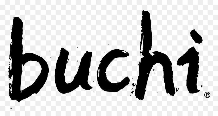 Transparent Bright Png - Calligraphy, Png Download - bright png