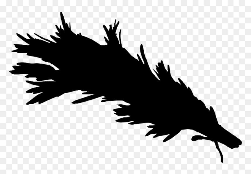 Bald Eagle Beak Font Silhouette Feather - Illustration, HD Png Download - eagle feather png