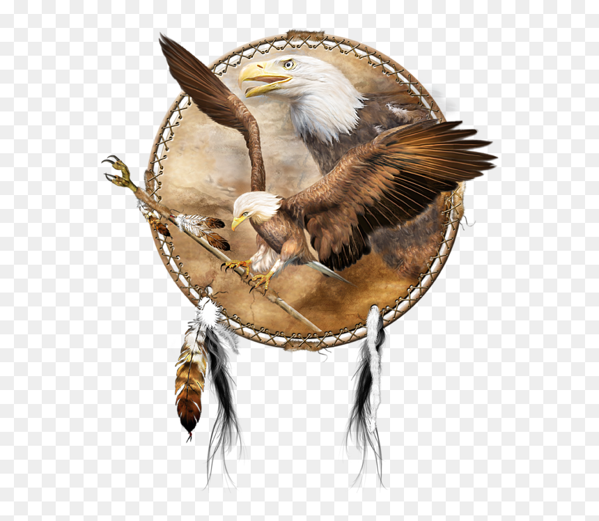 Dream Catcher- Spirit Of The Red Fox, HD Png Download - eagle feather png