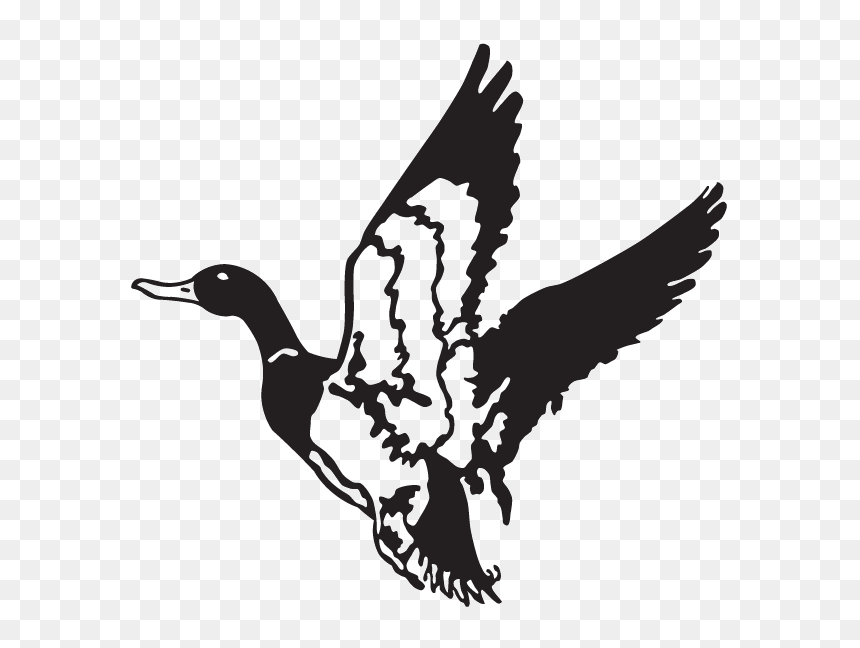 Duck Hunt Duck Png - Flying Duck Clip Art, Transparent Png - duck hunt png
