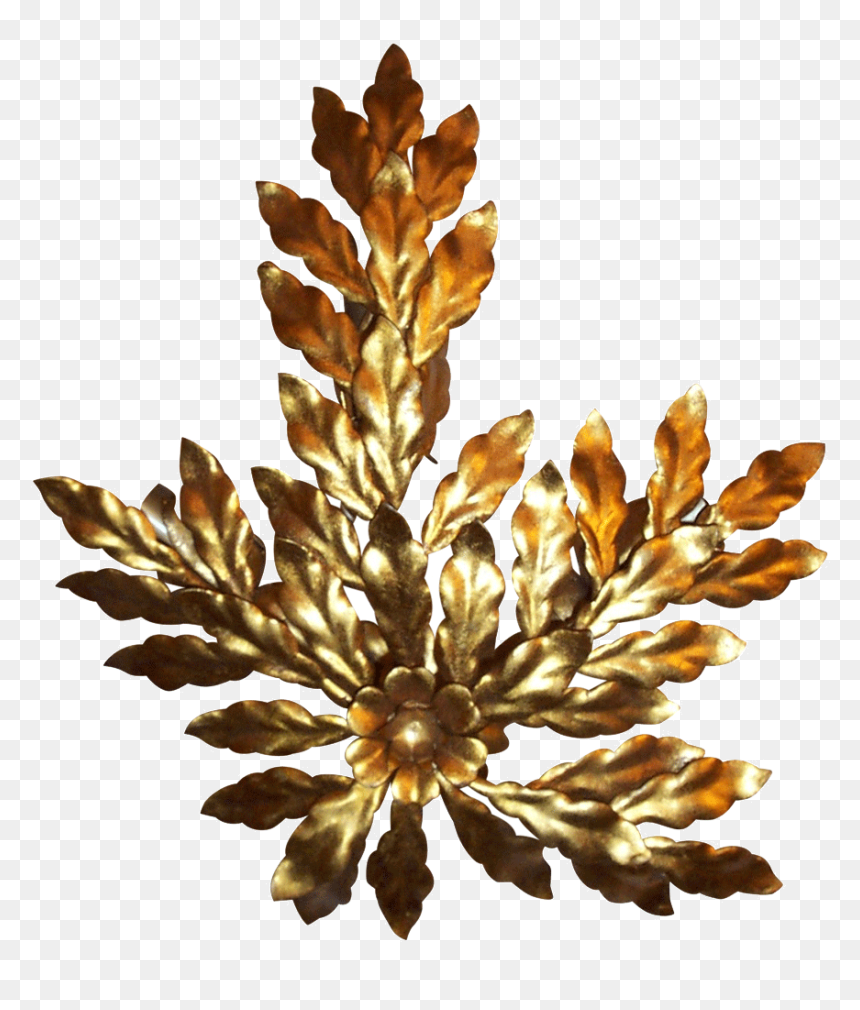 Tree , Png Download - Artificial Flower, Transparent Png - oak leaf png
