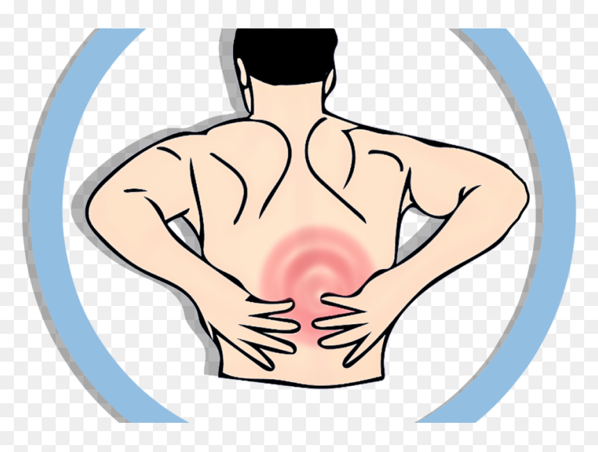 Muscular System Png - Back Pain Illustration, Transparent Png - muscle man png