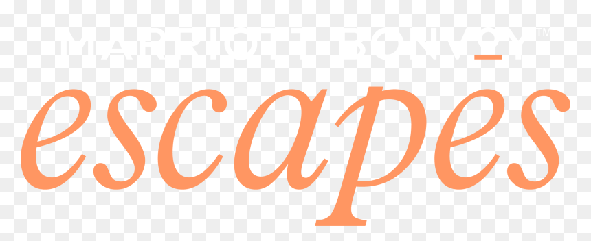 Calligraphy, HD Png Download - 25% off png
