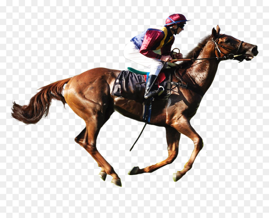 Horse Racing Transparent Background Image - Horse Racing Png, Png Download - race png