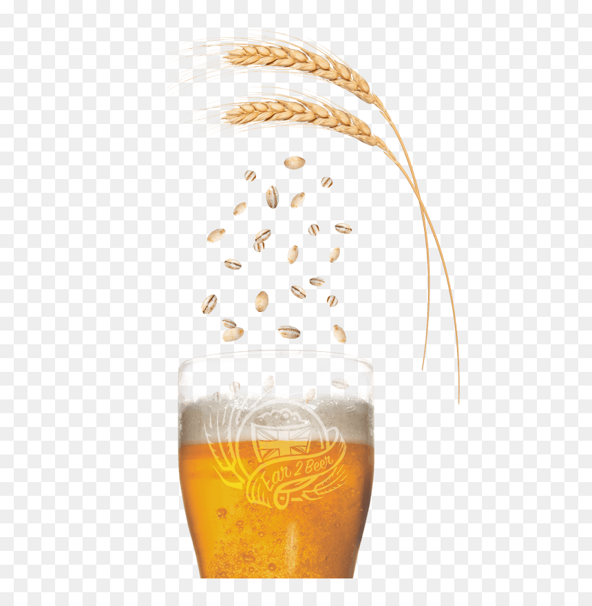 Calling All Malting Barley Growers Free Beer Enter - Barley Beer Png, Transparent Png - barley png