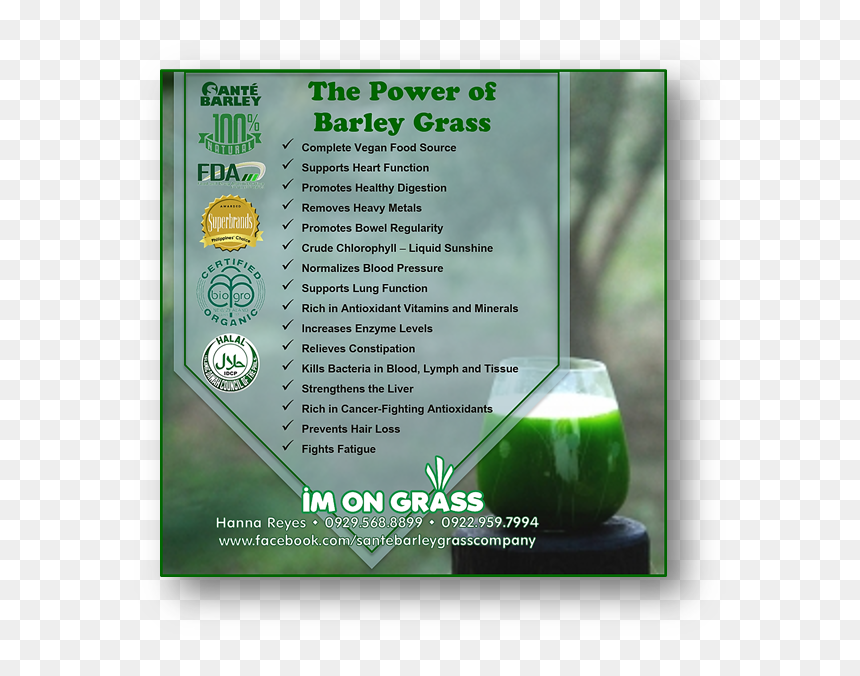 Transparent Barley Png - Sante Barley, Png Download - barley png