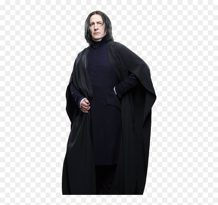 Professor Severus Snape Harry Potter And The Philosopher"s - Hermione Granger Dobby Harry Potter, HD Png Download - hermione granger png
