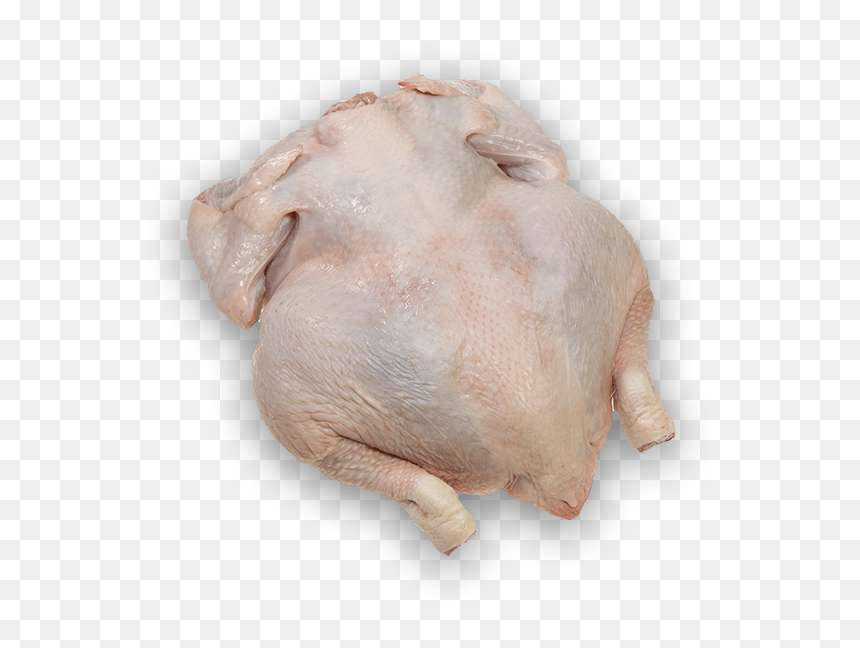 Transparent Chicken Drumstick Png - Turkey Meat Transparent, Png Download - drumstick png